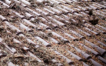 Bartestree roof cleaning companies